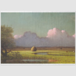 Zonlicht en schaduw: De Newbury Marshes Tissuepapier