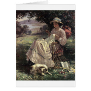 - zonlicht en schaduwen,