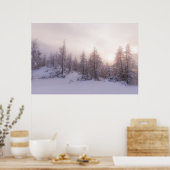 Zonlicht en sparrenbos poster (Keuken)