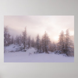 Zonlicht- en sprotbossen poster