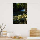 Zonlicht en waterval poster (Keuken)