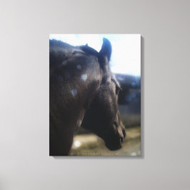 Zonlicht - Gekleept Canvas