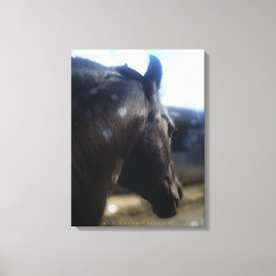 Zonlicht - Gekleept Canvas Afdruk
