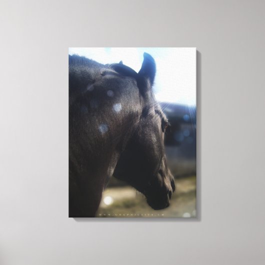 Zonlicht - Gekleept Canvas Afdruk (Voorkant)