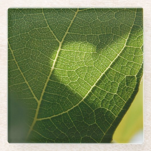 Zonlicht Hart Blad Glas Onderzetter (Voorkant)