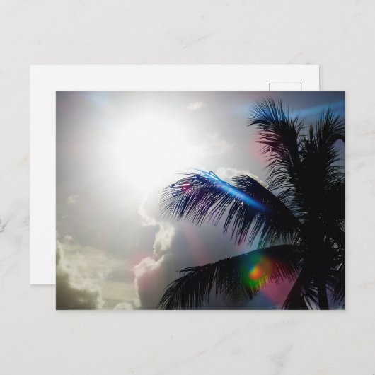 Zonlicht in het paradijs briefkaart (Voorkant / Achterkant)