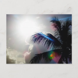 Zonlicht in het paradijs briefkaart