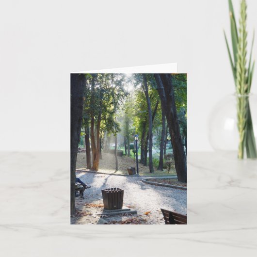 Zonlicht in het Park - de Kaart van de Nota (Voorkant)