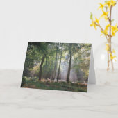 Zonlicht in het wenskaart van het Bos Kaart (Gele Bloem)