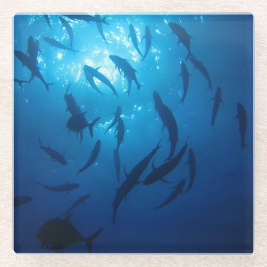 Zonlicht onder het Zee Glazen Onderzetter (Voorkant)