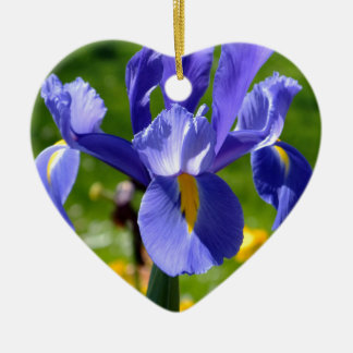 Zonlicht op blauwe iris keramisch ornament