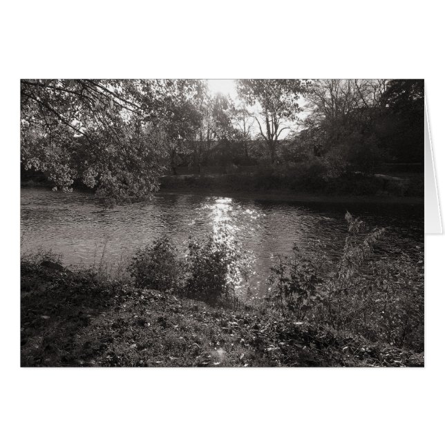 Zonlicht op de Taff, Bute Park, Cardiff (Voorkant Horizontaal)