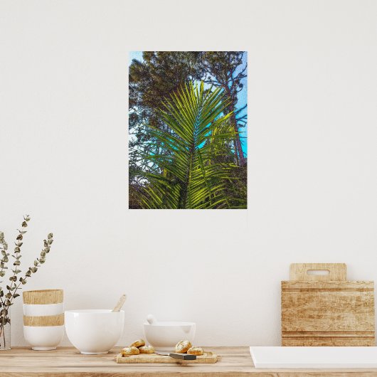 Zonlicht op het Poster van de Palmfronten (Keuken)