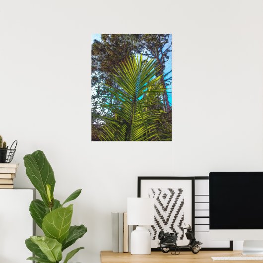 Zonlicht op het Poster van de Palmfronten (Thuiskantoor)