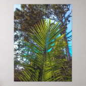 Zonlicht op het Poster van de Palmfronten (Voorkant)