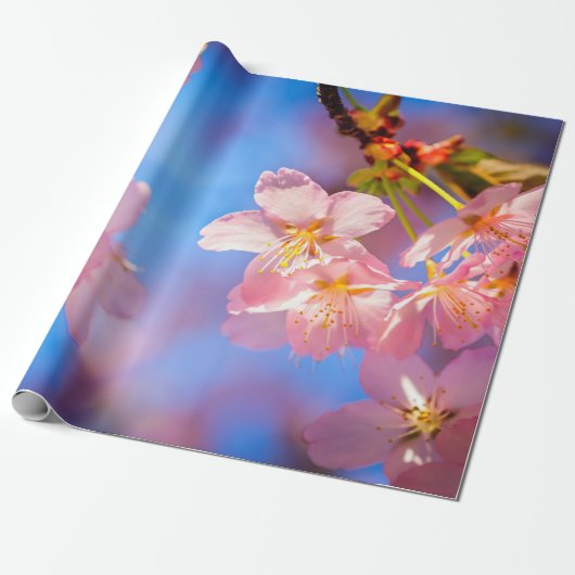 Zonlicht op Sakura Flowers Cadeaupapier (Uitgerold)