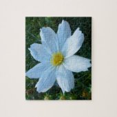 Zonlicht op witte Cosmos bloem Legpuzzel (Verticaal)