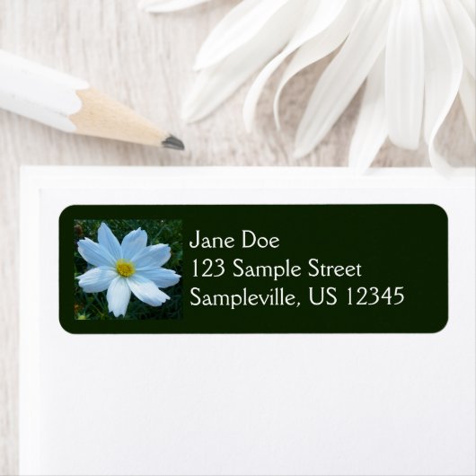 Zonlicht op witte kosmos Bloem Etiket (Insitu)