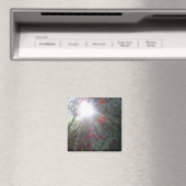 Zonlicht Tuin Magneet (Insitu (Vaatwasser))