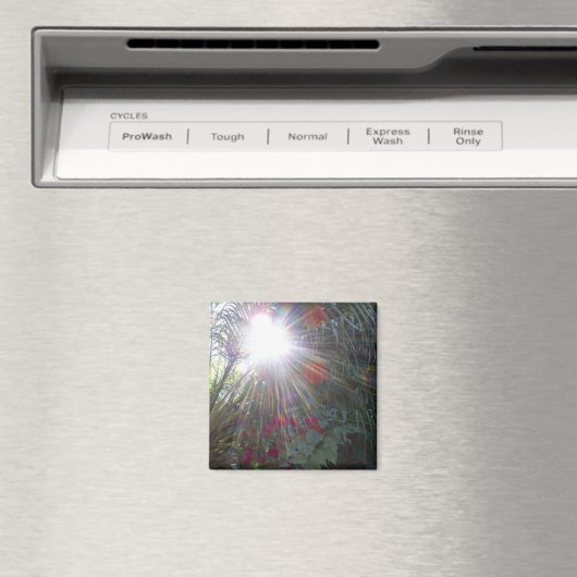 Zonlicht Tuin Magneet (Insitu (Vaatwasser))