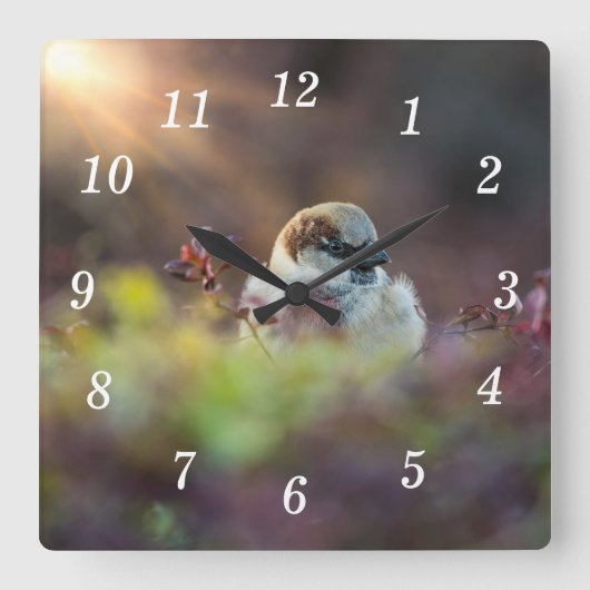 Zonlicht Zwemmen Finch Wandklok (Voorkant)