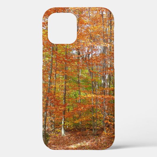 Zonlichtgevlekte herfstroute in Laurel Hill Park Case-Mate iPhone Case (Achterkant)