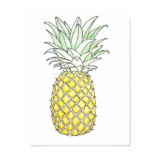 Zonneafzetting: ananas
