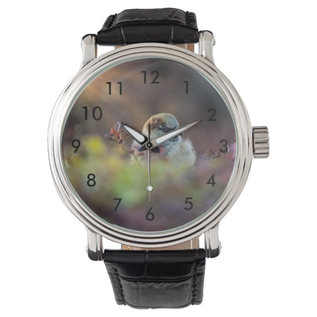 Zonnebaden Finch Horloge (Voorkant)