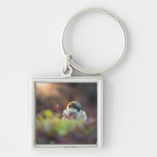 Zonnebaden Finch Sleutelhanger (Voorkant)