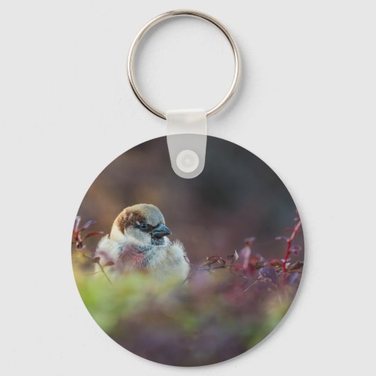 Zonnebaden Finch Sleutelhanger (Voorkant)