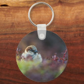 Zonnebaden Finch Sleutelhanger (Voorkant)