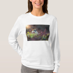 Zonnebaden Finch T-shirt