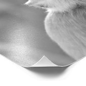 Zonnebaden Grijze Langur Aap - Foto afdrukken (Hoek)