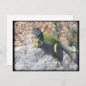 Zonnebaden in een gesteentfoto briefkaart (Voorkant / Achterkant)