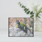 Zonnebaden in een gesteentfoto briefkaart (Staand voorkant)