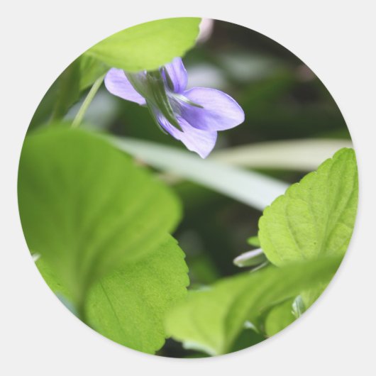 Zonnebaden? Ronde Sticker (Voorkant)