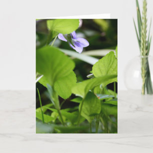 Zonnebaden? - Wilde Violet - Floral Photography Kaart