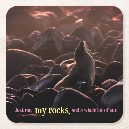 Zonnebaden zee leeuw kartonnen onderzetters (Voorkant)