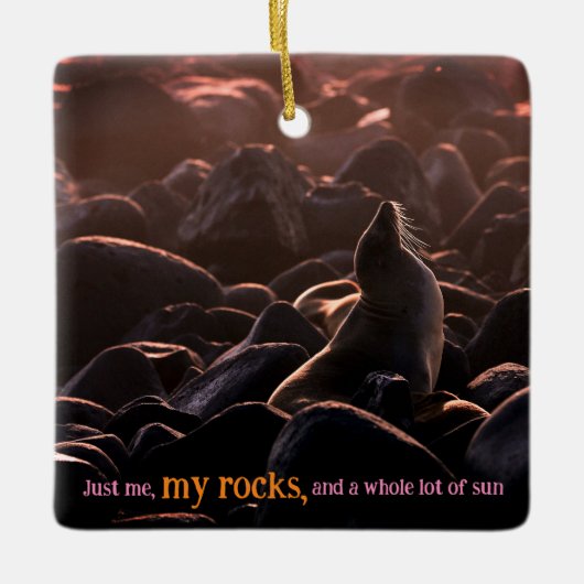 Zonnebaden zee leeuw keramisch ornament (Voorkant)