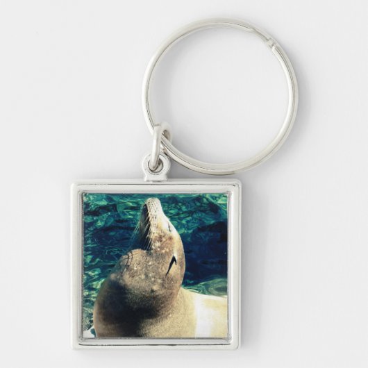 Zonnebaden Zee Lion Sleutelhanger (Voorkant)