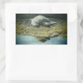 Zonnebaden zee schildpad stickers (Tas)