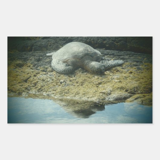 Zonnebaden zee schildpad stickers (Voorkant)