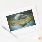 Zonnebaden zee schildpad stickers (Envelop)