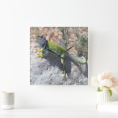 Zonnebadende kleurrijke foto van hagedis vierkante klok (Huis)