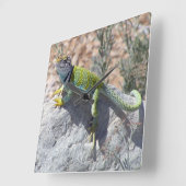 Zonnebadende kleurrijke foto van hagedis vierkante klok (Hoek)