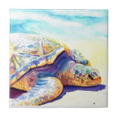 Zonnebadschild 6 tegeltje (Voorkant)