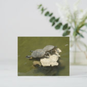 Zonnebadschildpadden Briefkaart (Staand voorkant)