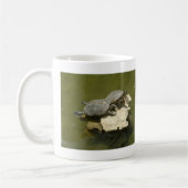 Zonnebadschildpadden Koffiemok (Links)