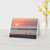 Zonnebak, kaart (Gele Bloem)