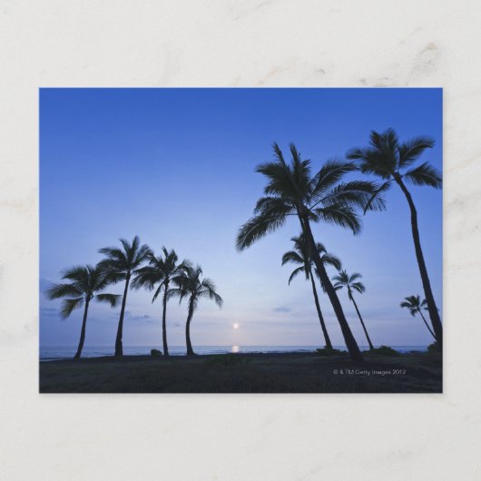 Zonnebak op Kahaluu Bay in Kona, Hawaii Briefkaart (Voorkant)